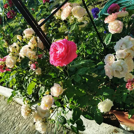 Trakia Garden Готель Сонячний Берег