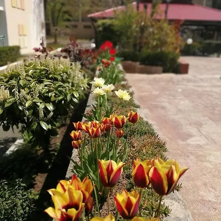 Готель Trakia Garden Сонячний Берег