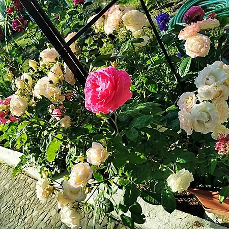 Готель Trakia Garden 3*