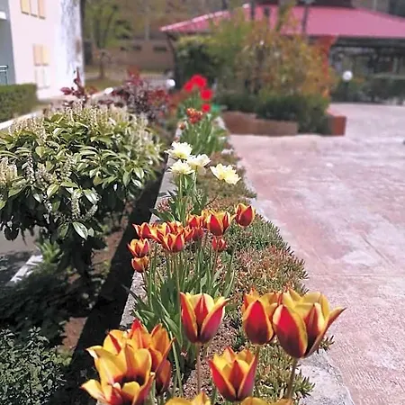 호텔 Trakia Garden