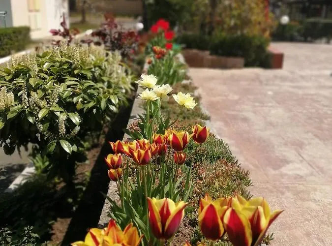 Hotel Trakia Garden Sunny Beach