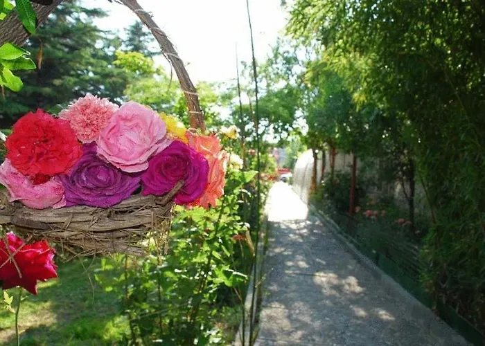 Trakia Garden サニービーチ