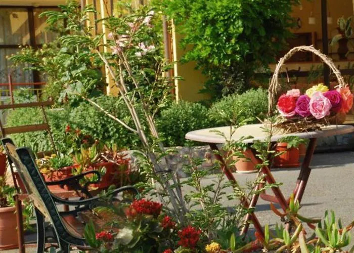 Trakia Garden ホテル サニービーチ